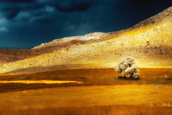 Paesaggio albero in piedi solitario