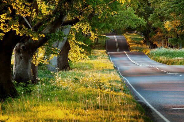 Landscape of the autumn road at sunset