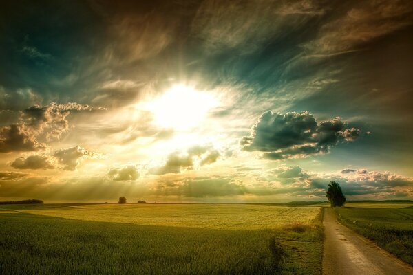 Helle Sonnenstrahlen über Feld und Straße