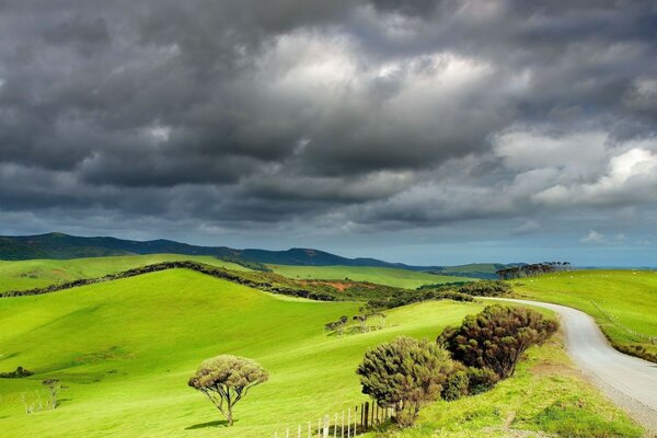 Camino sinuoso con campos verdes