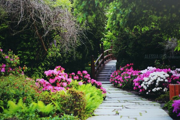 Estrada com ponte em um belo jardim de Verão