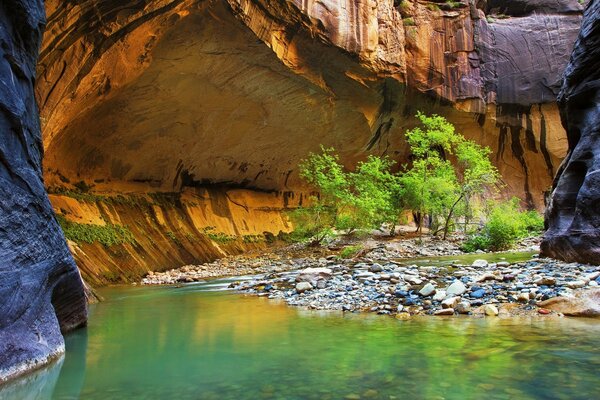 An enchanted cave hangs over the bay