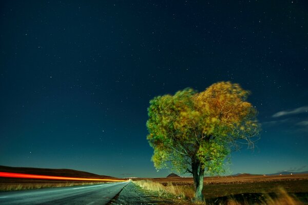 El cielo nocturno brilla en las estrellas