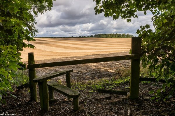 Cozy bench with a view of the field