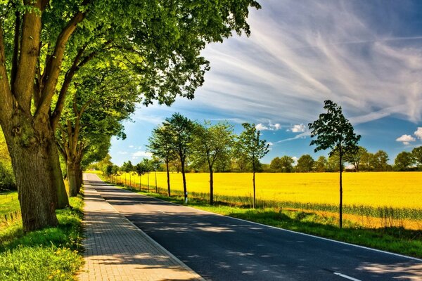 Eine Dorfstraße inmitten von Bäumen