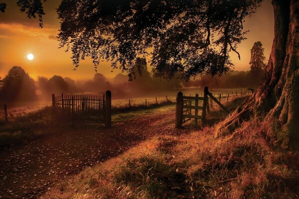 Rural landscape in the rays of the setting sun