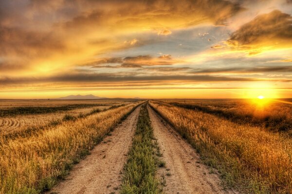 Hermosa puesta de sol en un gran campo