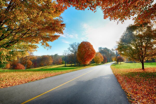 El cálido otoño dorado no ha capturado todo el espacio