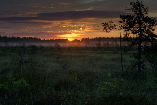 Increíble puesta de sol en un campo de niebla