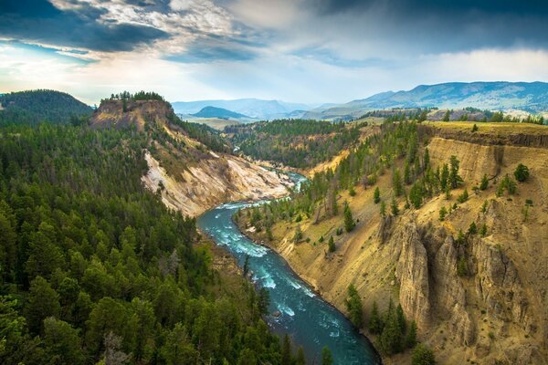 The beauty of nature from a bird s-eye view