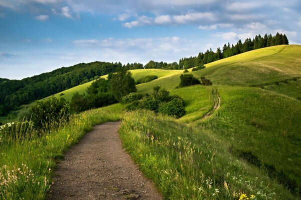 Schöne grüne hügelige Landschaft