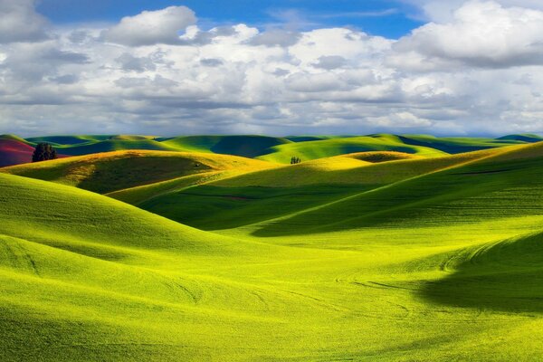 Endless meadows and fields surround us