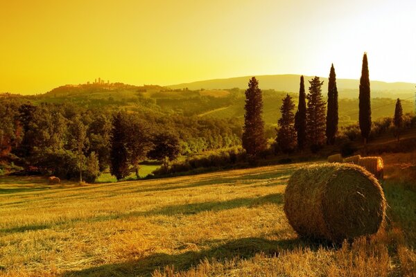 Landscape. Hay. Sunset in nature