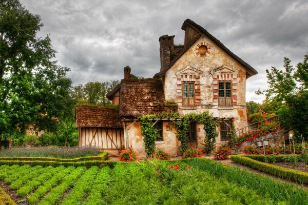 Two-storey house with a large vegetable garden