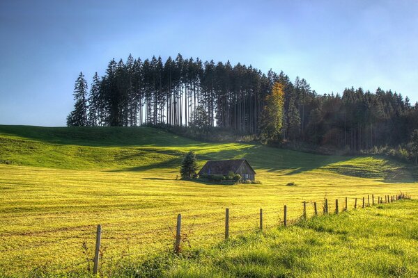 Hermoso paisaje entre el bosque