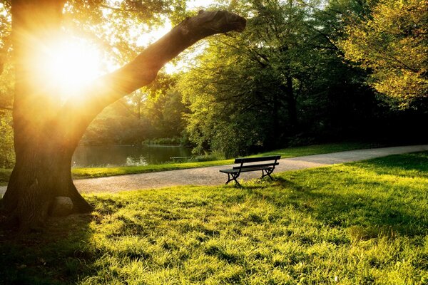 A bench opposite the river. Coasivy landscape