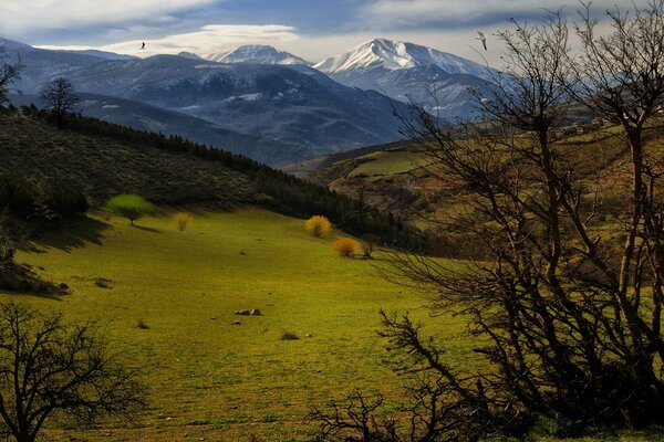 Campos verdes en el fondo de las montañas