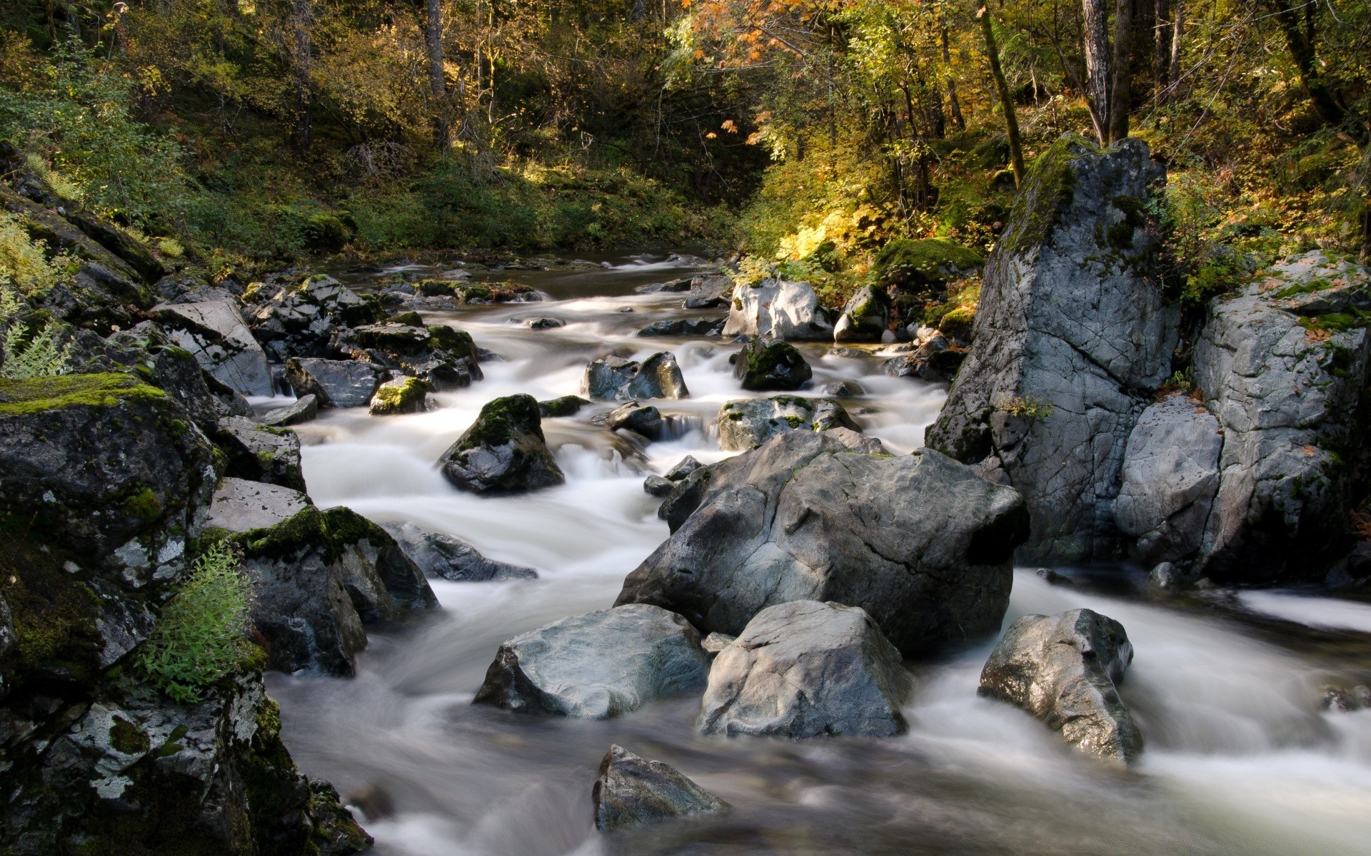 america flusso d acqua fiume cascata roccia flusso natura cascata paesaggio movimento esterno legno autunno viaggio creek albero rapids muschio foglia