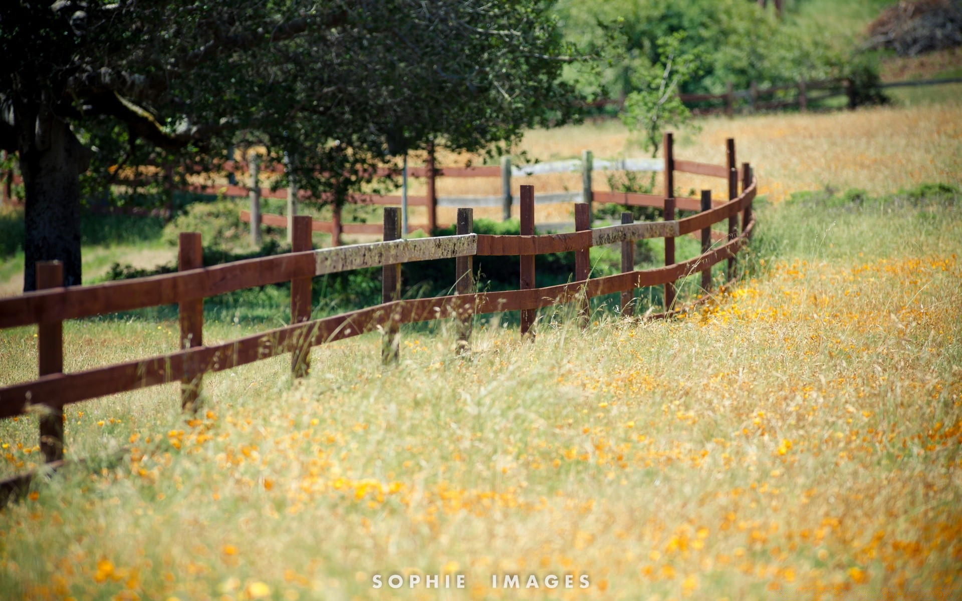 america nature fence outdoors grass wood landscape summer fall farm rural tree countryside field flora season water hayfield agriculture