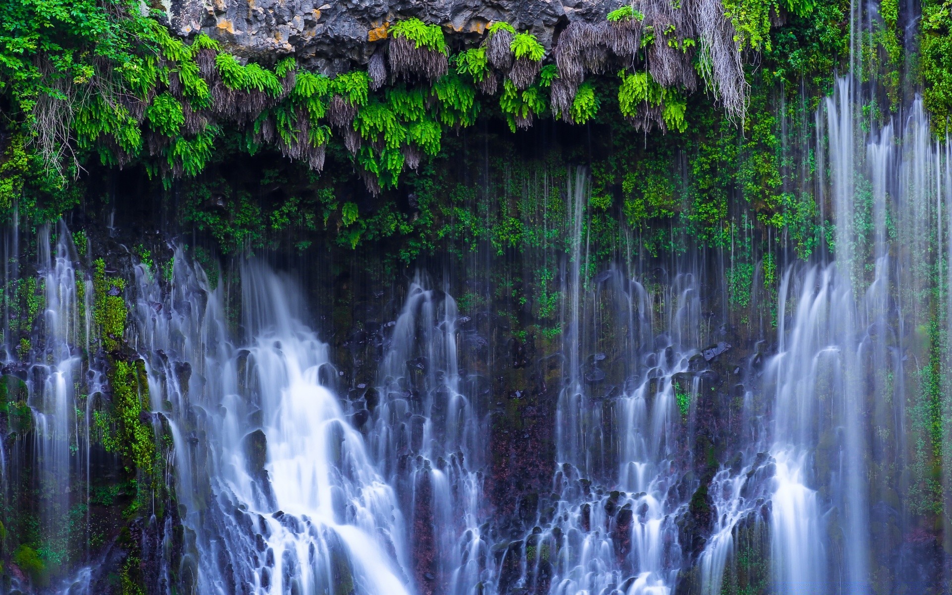 américa cachoeira água natureza córrego folha cascata madeira molhado rio córrego flora ao ar livre outono tropical parque tráfego paisagem selva respingo