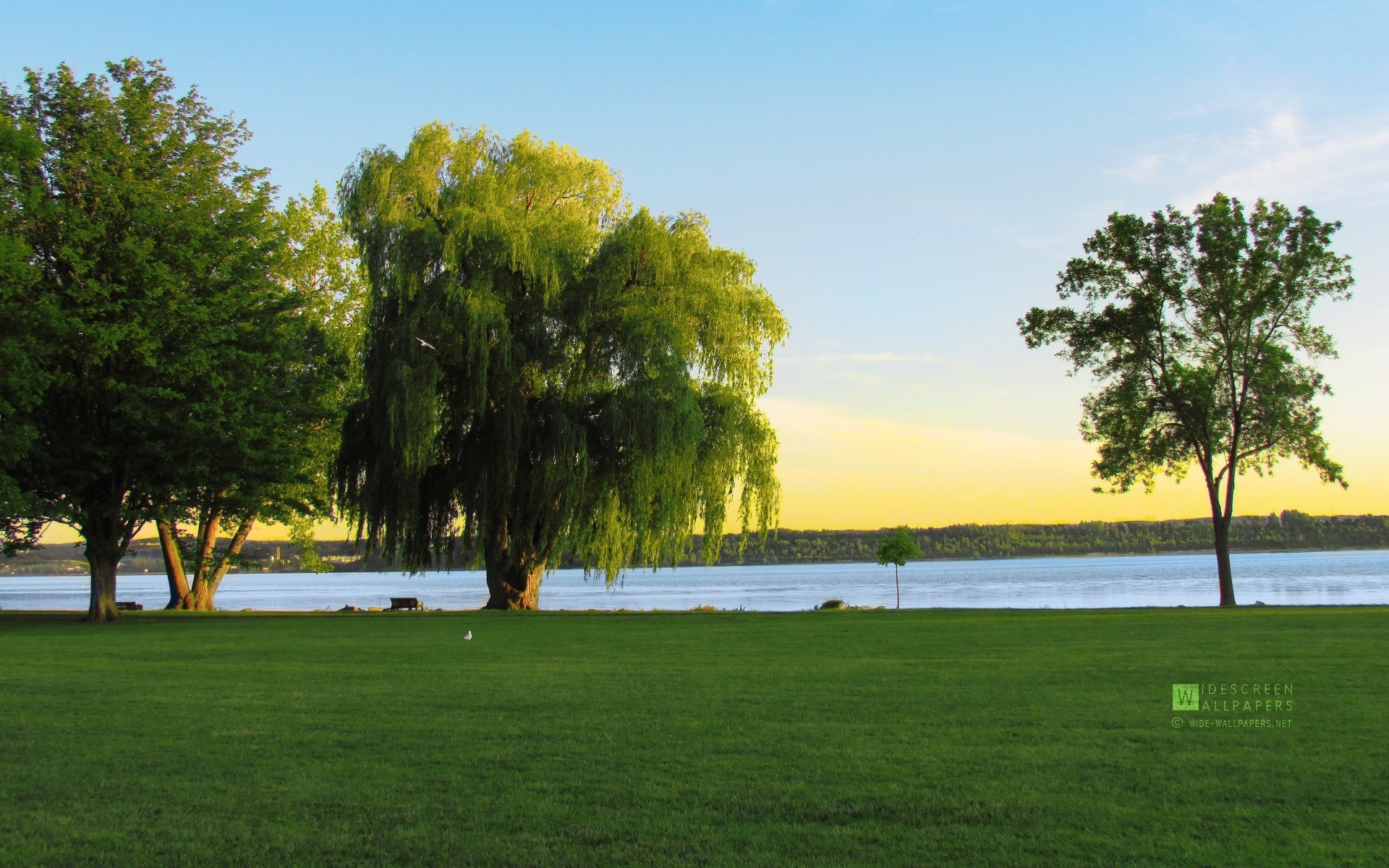 america tree landscape grass scenic park daylight summer outdoors nature lawn environment lake water sky golf idyllic wood fair weather