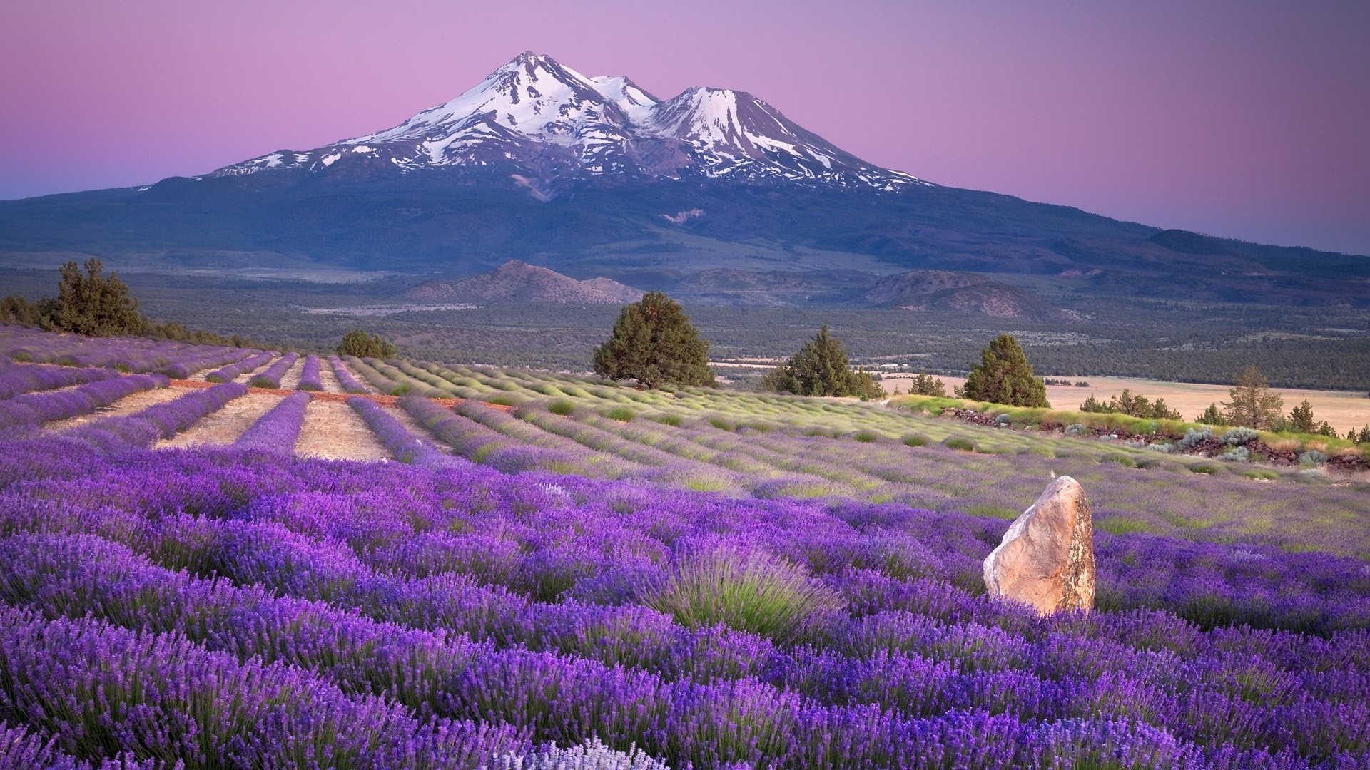 américa paisagem natureza ao ar livre flor cênica montanhas céu viagens campo