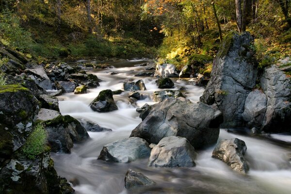 Wasserfall im Herbstwald Bild