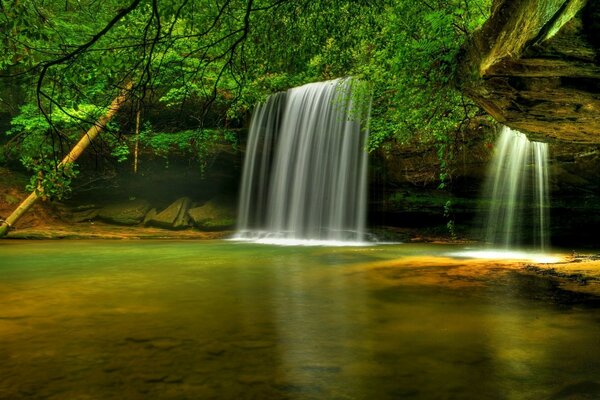 Cachoeira escondida por uma densa coroa de árvores