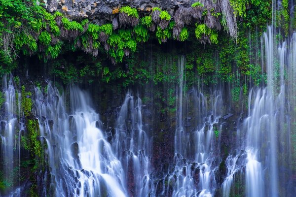 Streams of water. Waterfalls of America