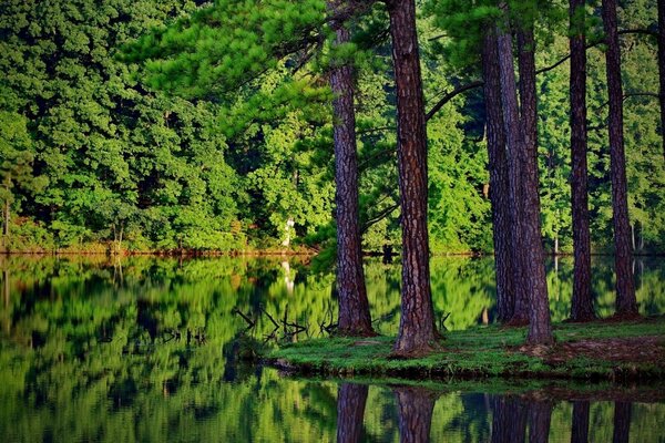 Wood, or wood? And, perhaps, the tree of life? This landscape devoid of meaning, we will be able to fill ourselves