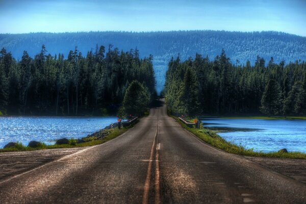 The road to the forest. Between two lakes