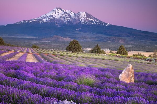 La natura all aperto è piacevole per gli occhi, un grande paesaggio!