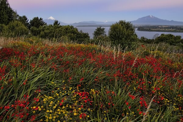 Paisaje de la naturaleza al aire libre