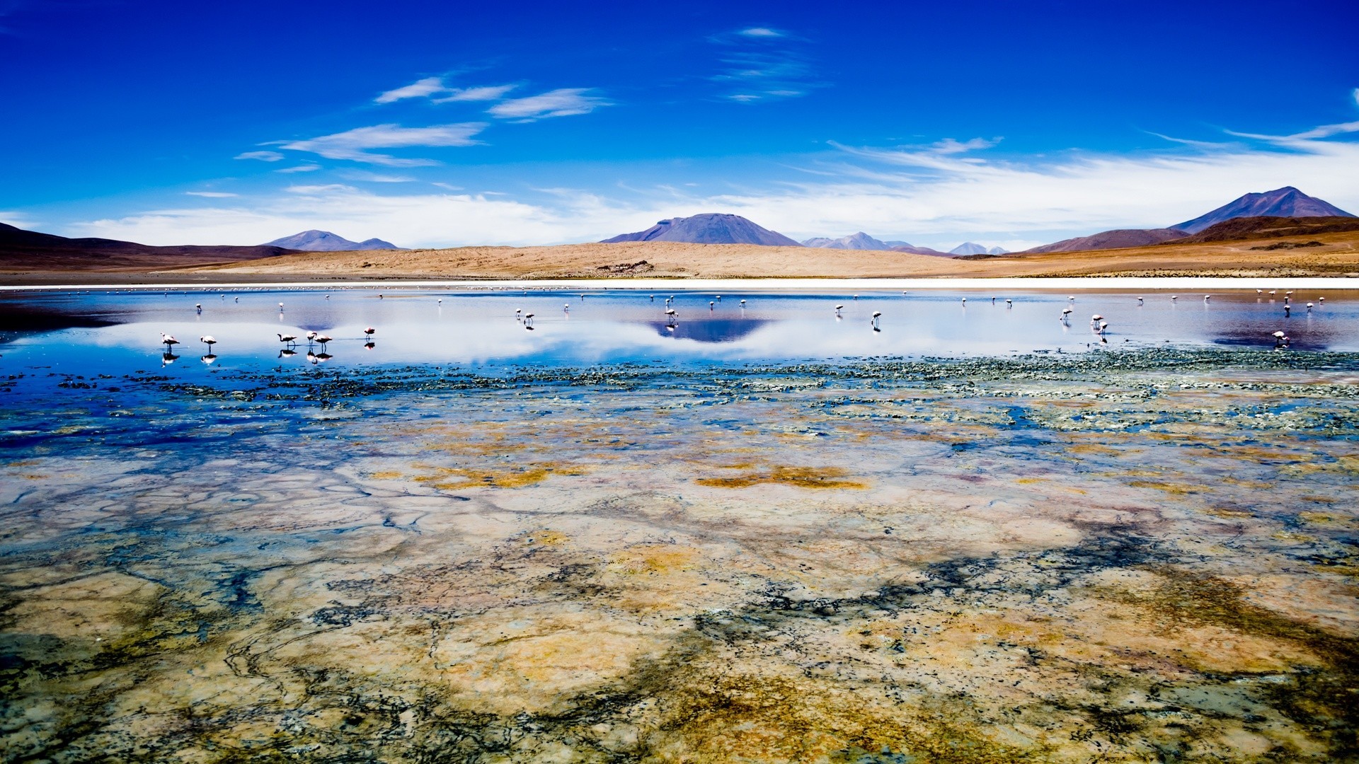 amérique eau paysage voyage plage ciel nature mer mer été océan île paysage vacances sable beau temps scénique soleil nuage rivage