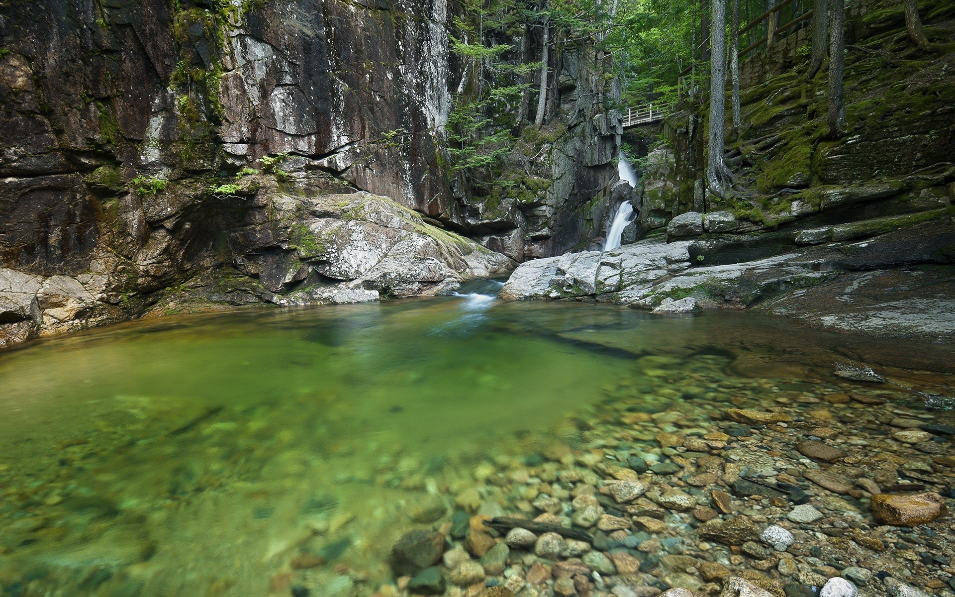 amérique eau rivière rock ruisseau nature paysage bois voyage cascade bois à l extérieur montagnes mousse scénique environnement ruisseau parc été