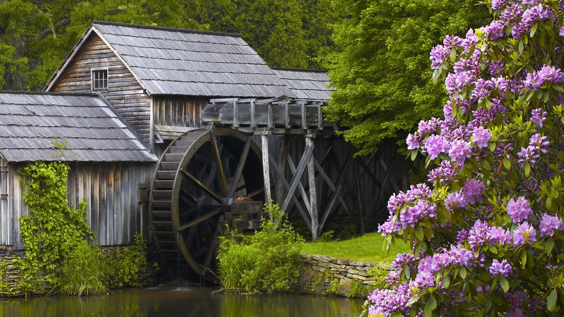 amerika holz holz im freien natur sommer haus wasser haus landschaft aus holz tageslicht