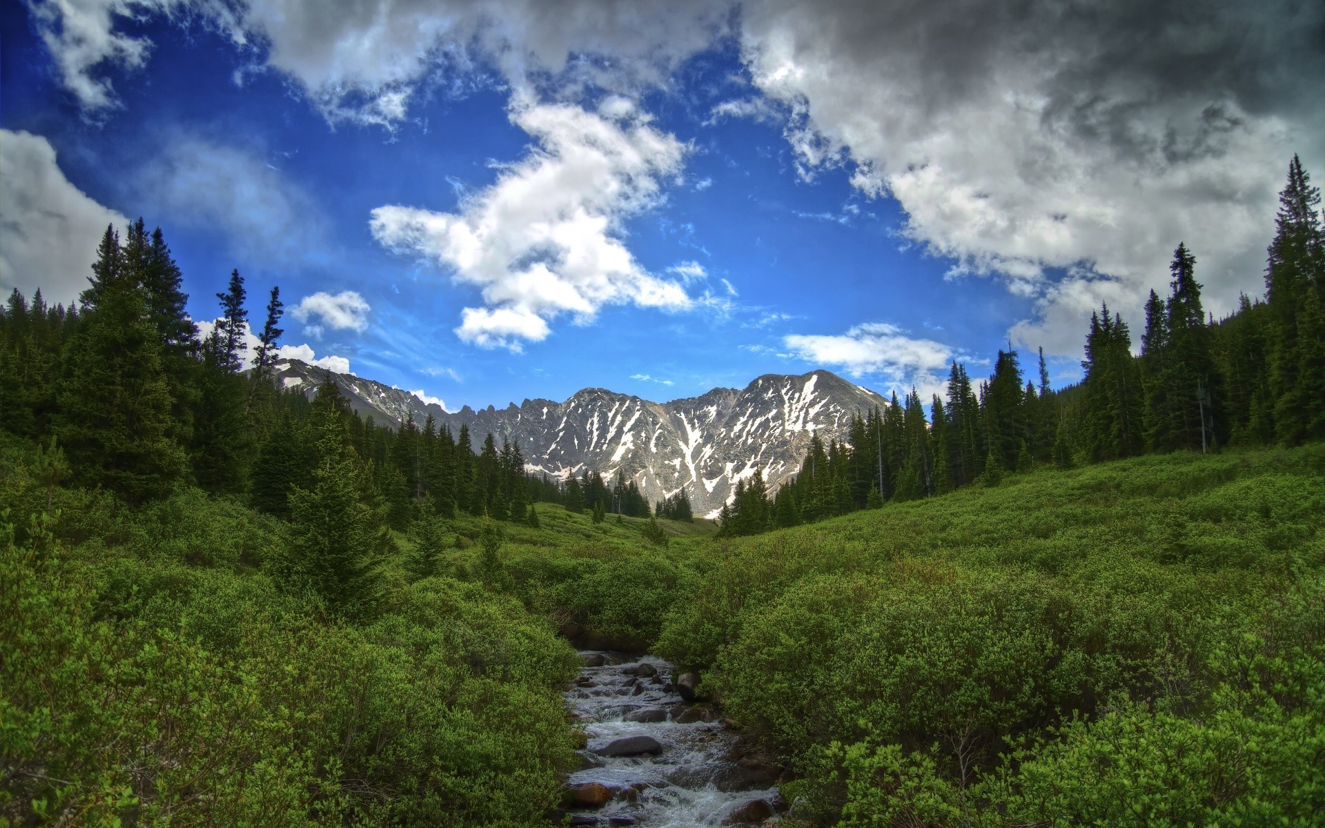 america mountain wood nature landscape outdoors travel scenic sky tree valley daylight conifer wild water