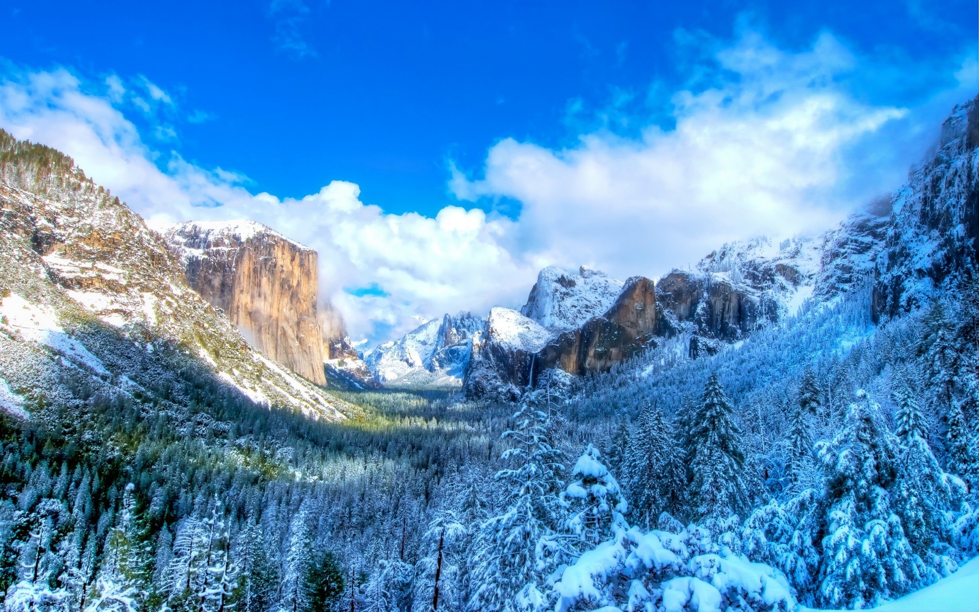 amérique neige nature montagnes hiver paysage froid voyage ciel scénique glace bois saison pic de montagne haute en plein air belle spectacle