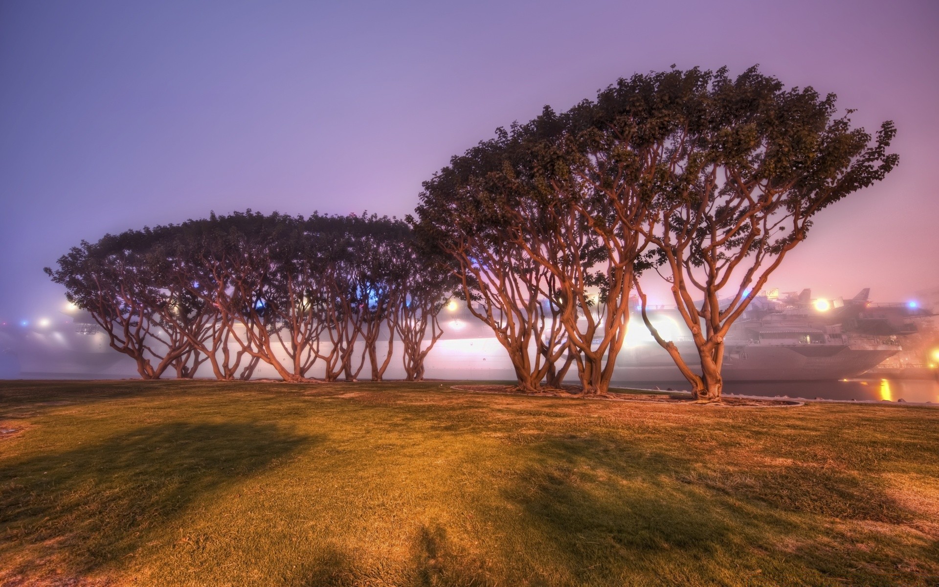 america tramonto paesaggio albero alba cielo natura sole sera erba crepuscolo bel tempo luce estate all aperto campo nuvola viaggi scenico