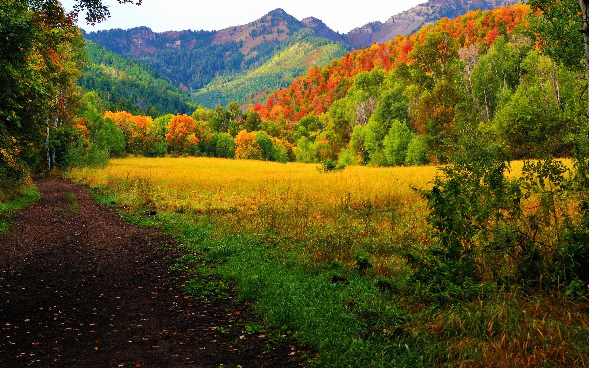 america tree landscape nature fall wood leaf outdoors scenic mountain travel grass countryside hill sky season rural environment scenery