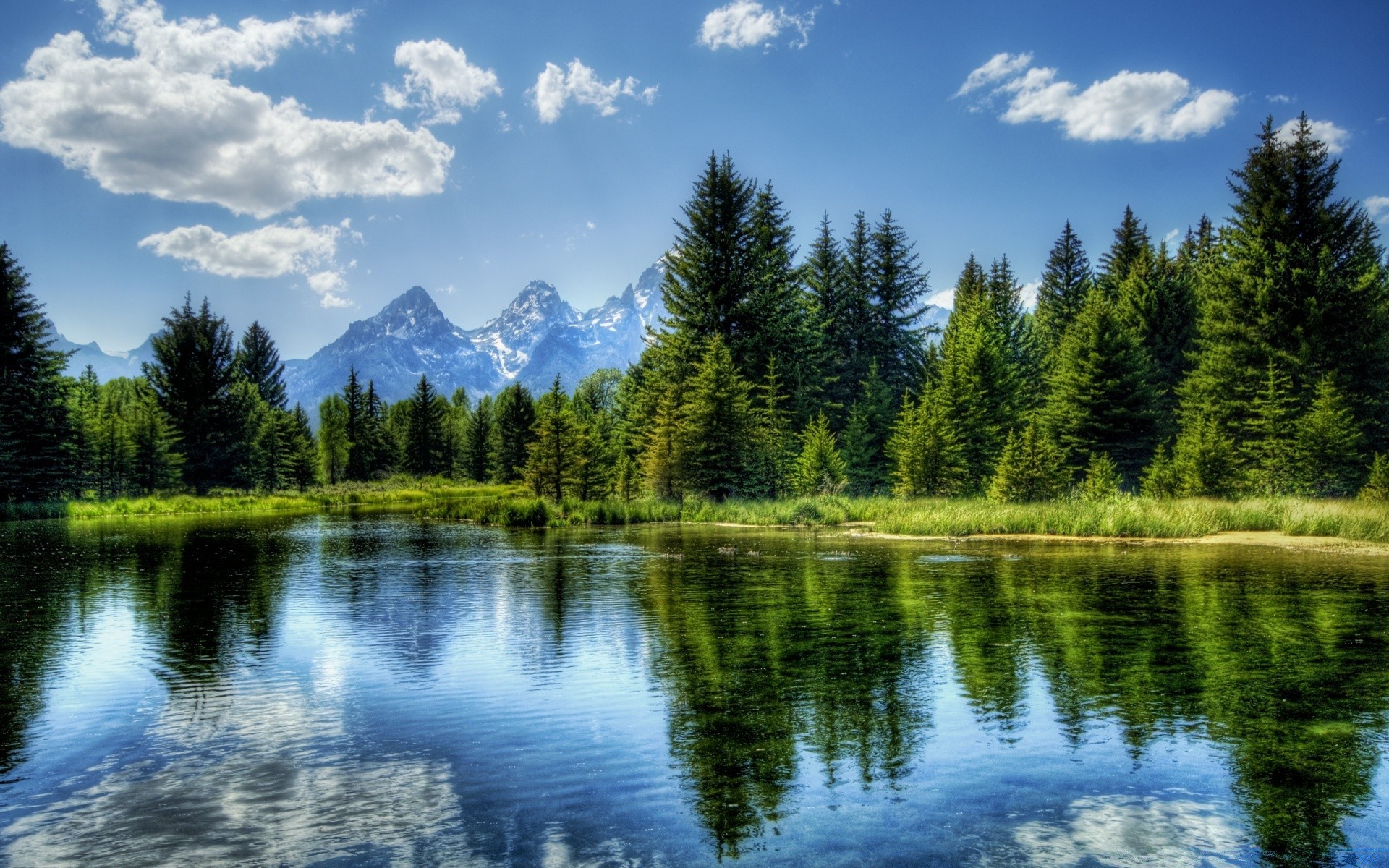 america lake reflection water nature outdoors wood landscape composure scenic sky placid tree