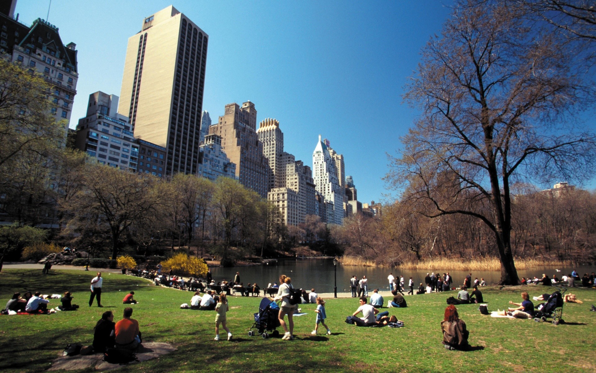 amerika stadt architektur haus park im freien gruppe baum reisen zuhause tageslicht wettbewerb urlaub viele aktion landschaft bildung erwachsener wolkenkratzer