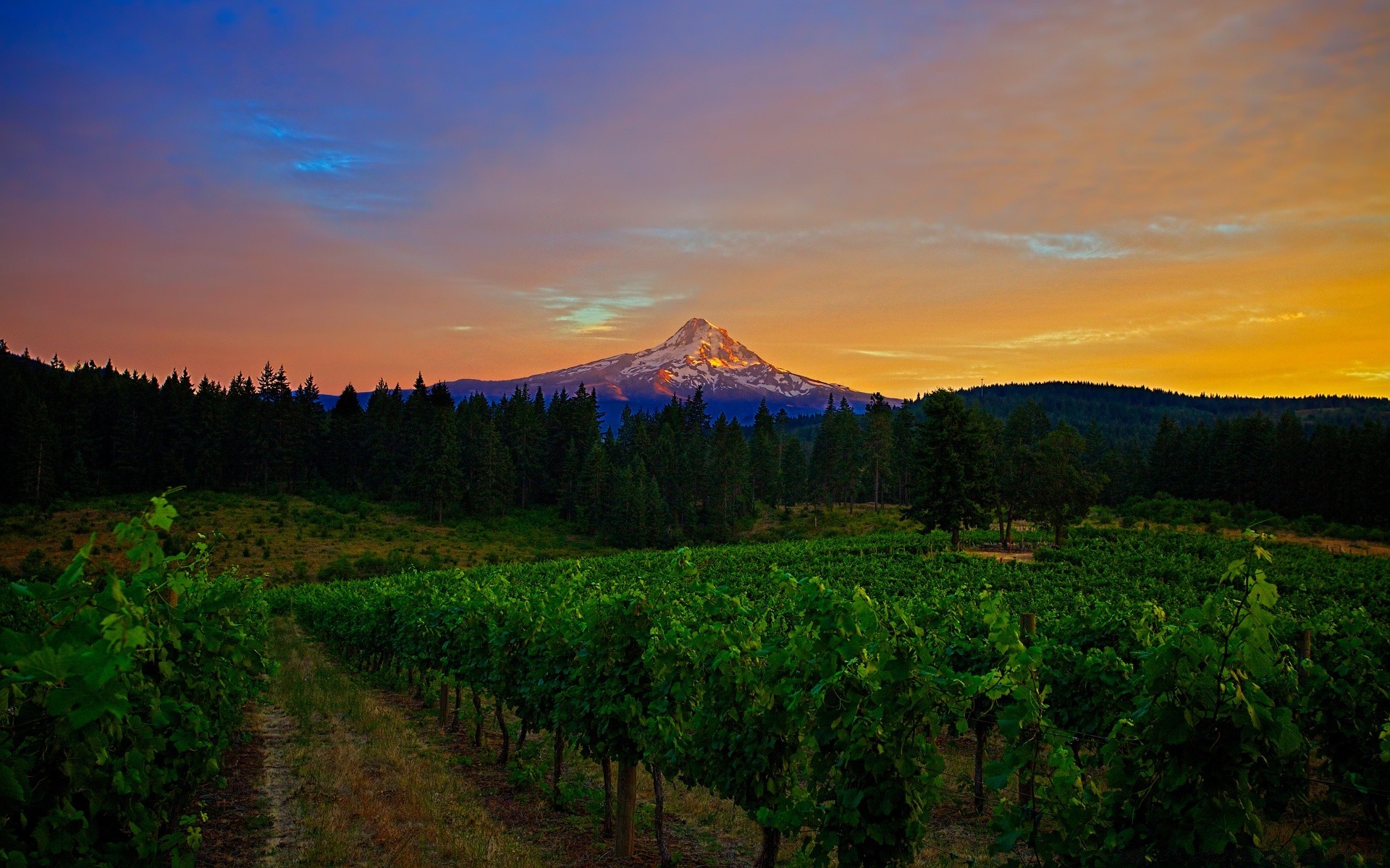 america landscape travel sunset outdoors dawn nature sky mountain tree evening wood cropland