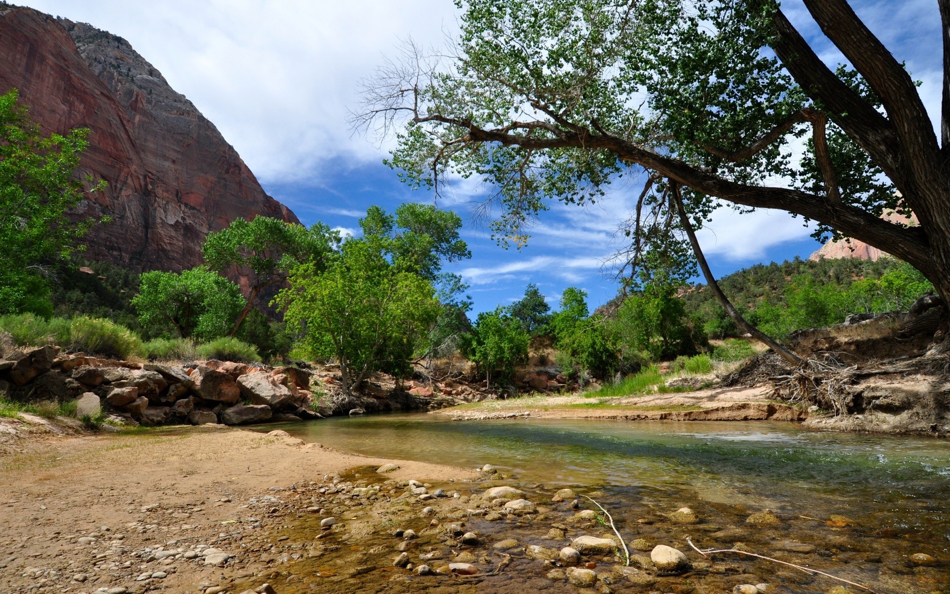 america water nature landscape travel rock tree sky river summer wood outdoors mountain stream scenic stone beautiful tourism seashore tropical