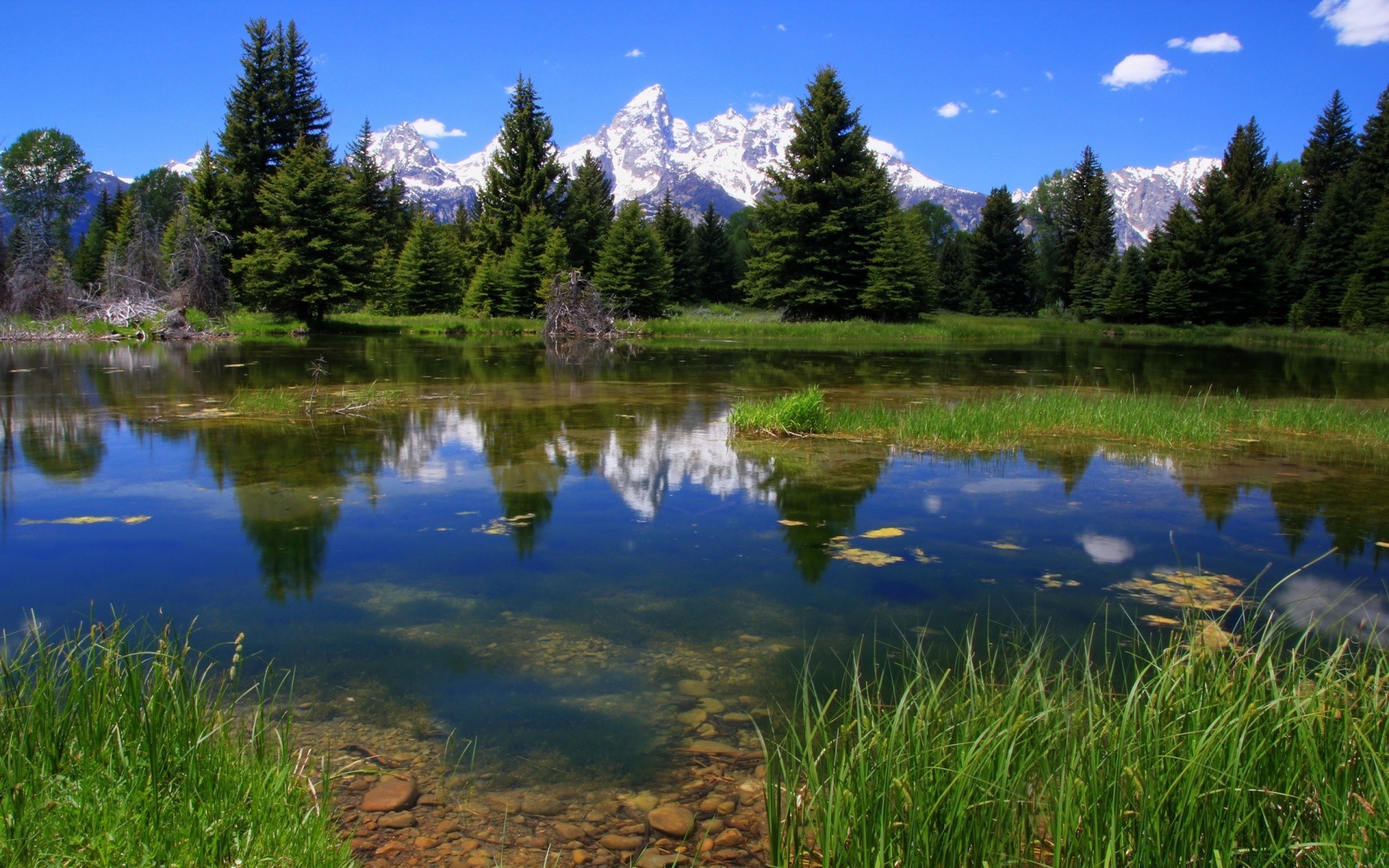 america lago riflessione acqua natura paesaggio all aperto scenico legno piscina albero erba freddo cielo estate montagna idillio fiume luce del giorno viaggi