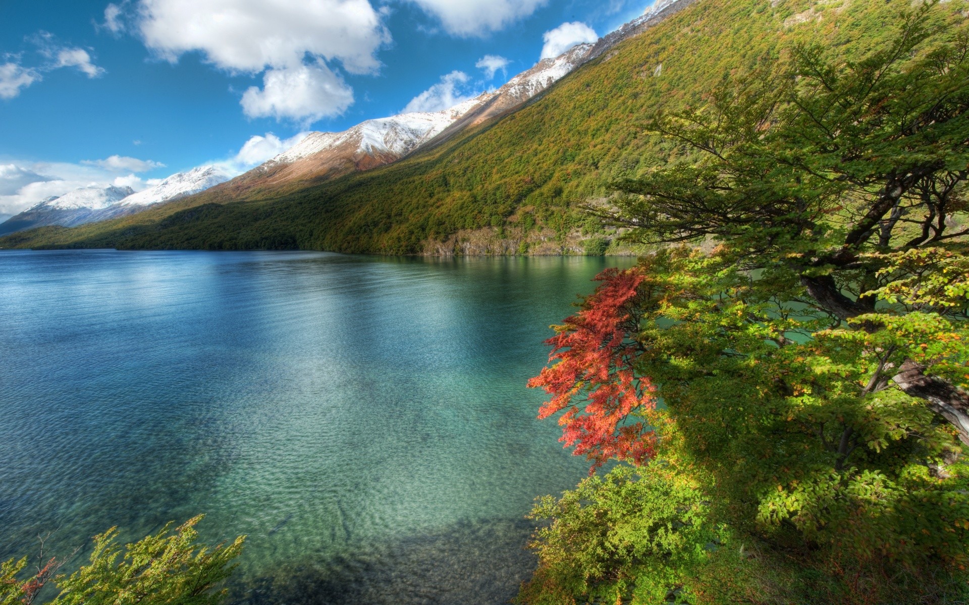 美国 水 景观 自然 旅行 山 湖 户外 树 木 风景 秋天 河 天空 日光 反射 叶子