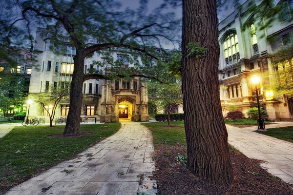 Very nice paths among the trees near the old building