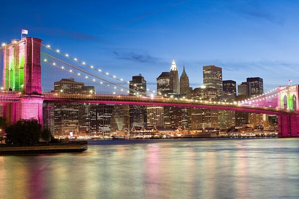 Bridge on the background of the night city