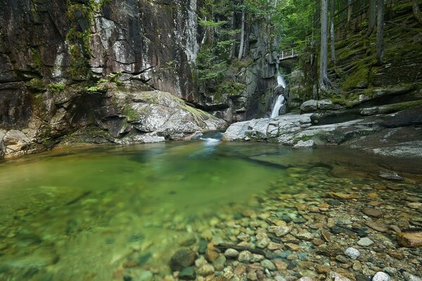 Brücke über einem kleinen Wasserfall im Wald