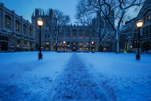 Photo cour universitaire en hiver